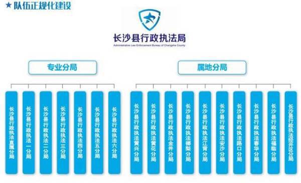 大國小鮮 從長沙便民服務“產品線”看基層治理現代化新路徑